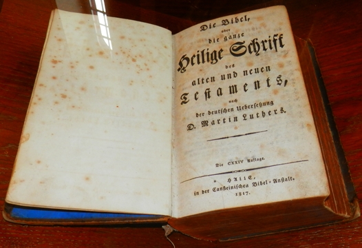 Bibel web