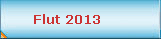 Flut 2013