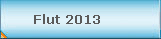 Flut 2013