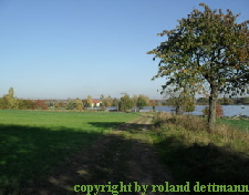 Sermuth 10